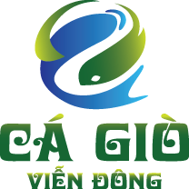 Ca Gio Vien Dong